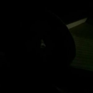 Meet your Posher, Adam