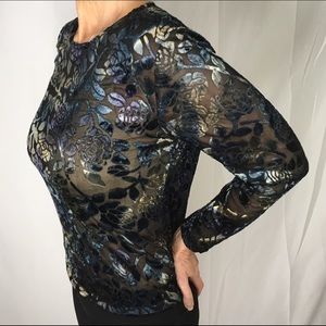 PSE Sheer Velveteen Top