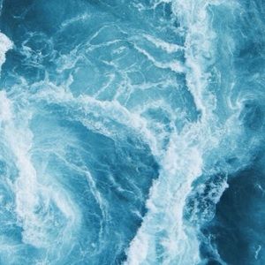 Meet your Posher, Marlee