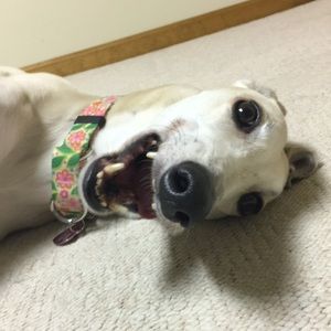 Meet your Posher, Maura