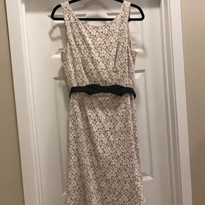 White House Black Market Ivory Lace Dress SZ 14