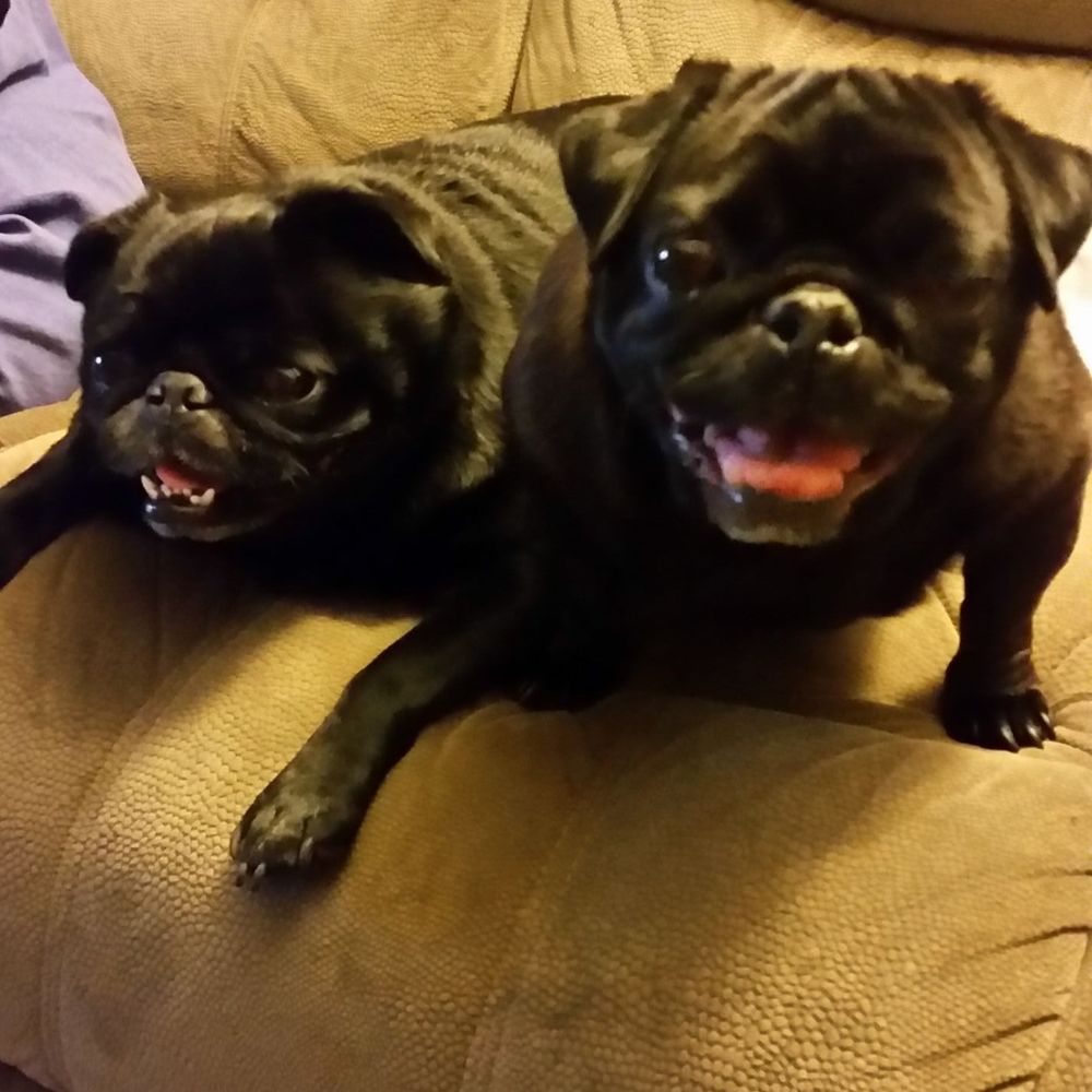 Meet your Posher, Tammylynn