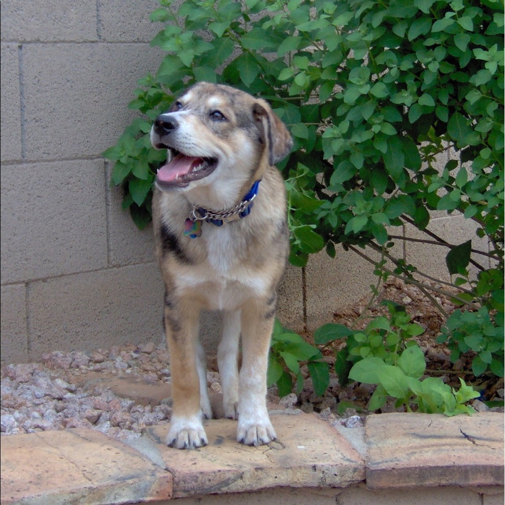 Meet your Posher, Pam