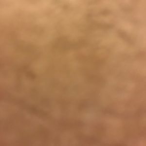 Meet your Posher, Audra