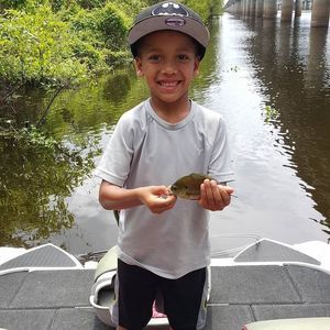 Meet your Posher, Kenneth