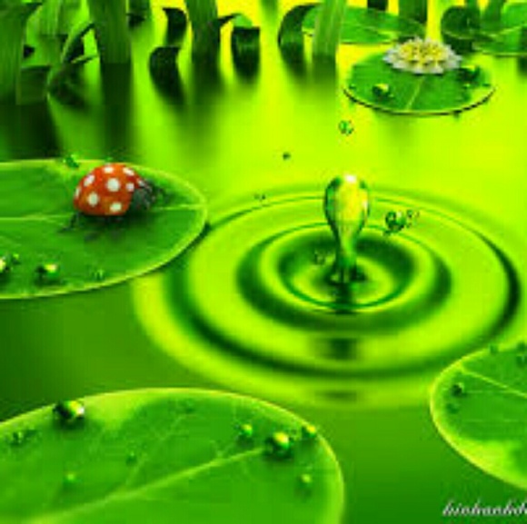 Meet your Posher, Minhee - Picture 1 of 1