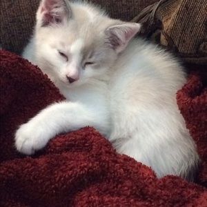 Meet your Posher, Kathy