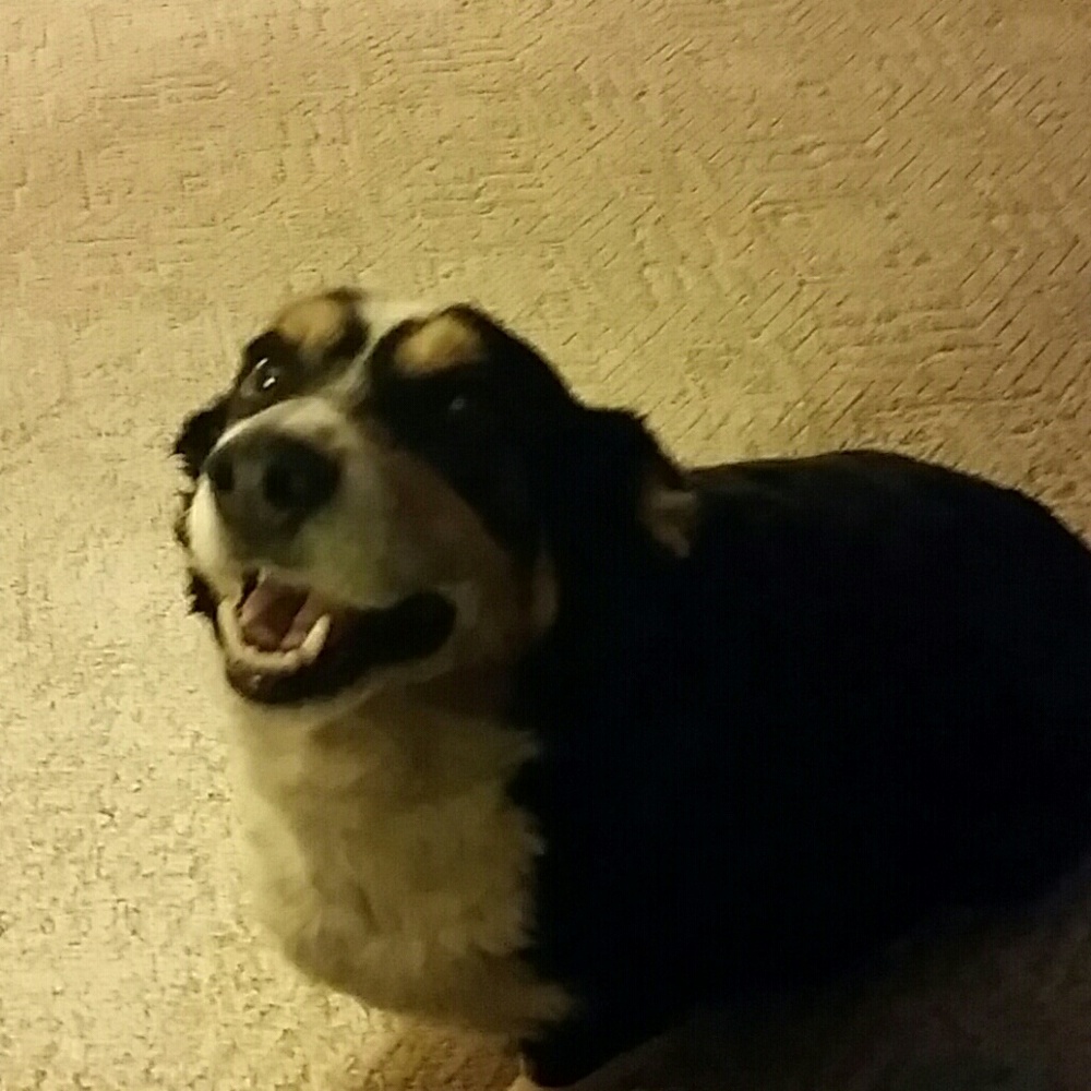 Meet your Posher, Karri