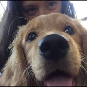 Meet your Posher, Brooke