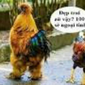 Meet your Posher, Soyoungde