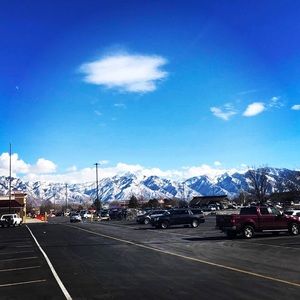 Meet your Posher, Milica