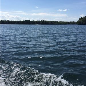 Meet your Posher, Gina