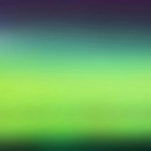 Meet your Posher, Bailey