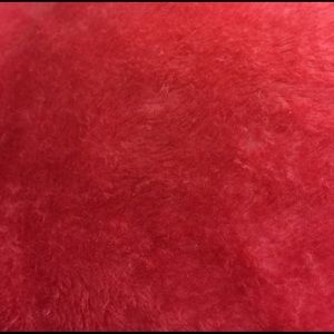 Meet your Posher, Vicki