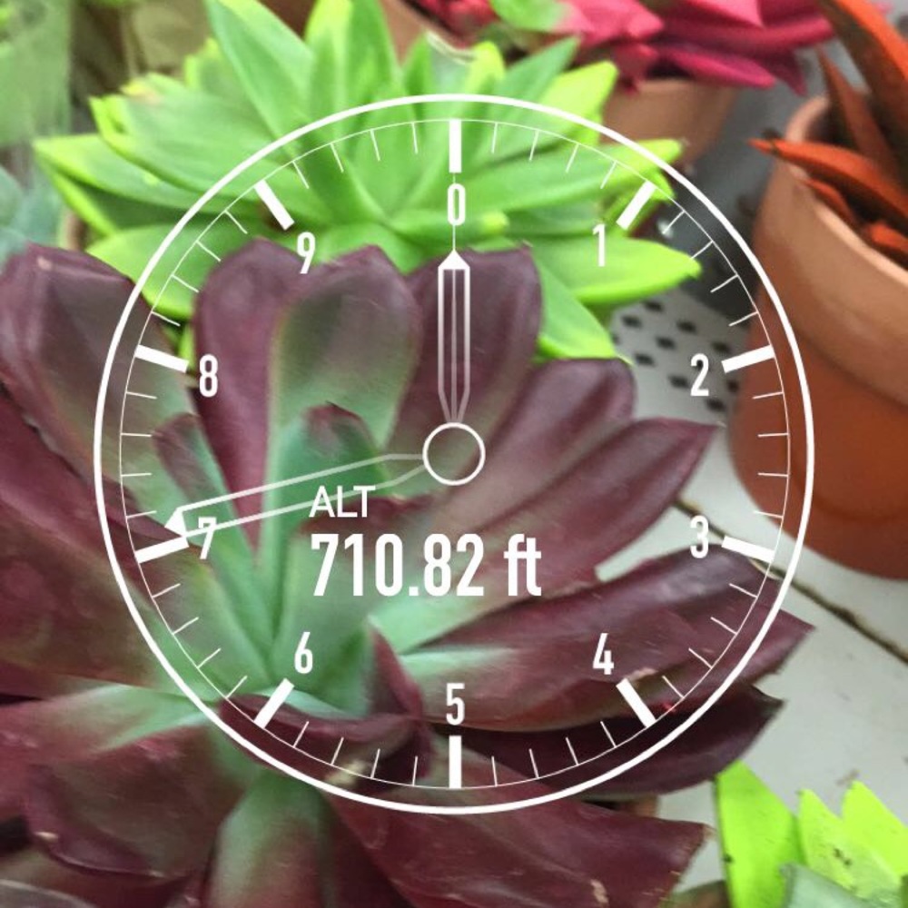 Meet your Posher, Mikayla