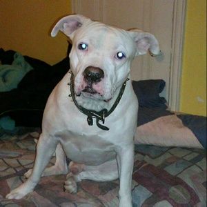 Meet your Posher, Frederick