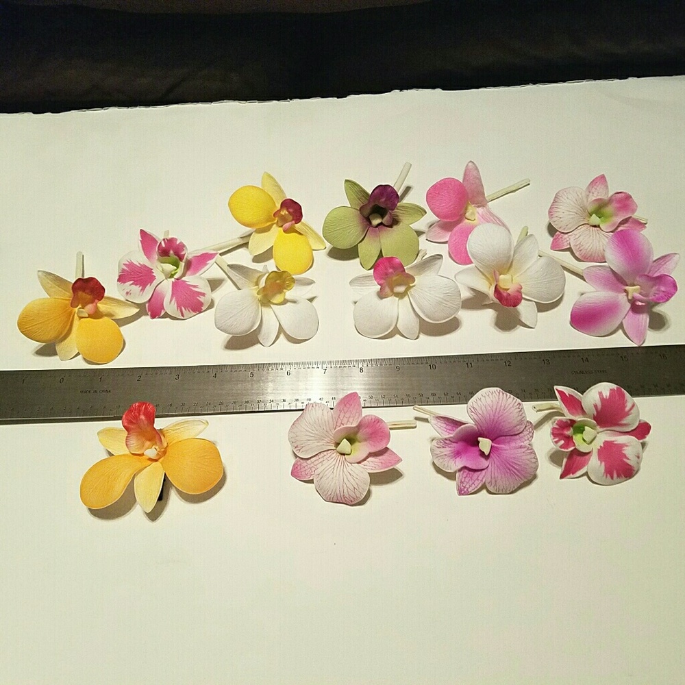 Photo reference Hawai'ian flower current stock