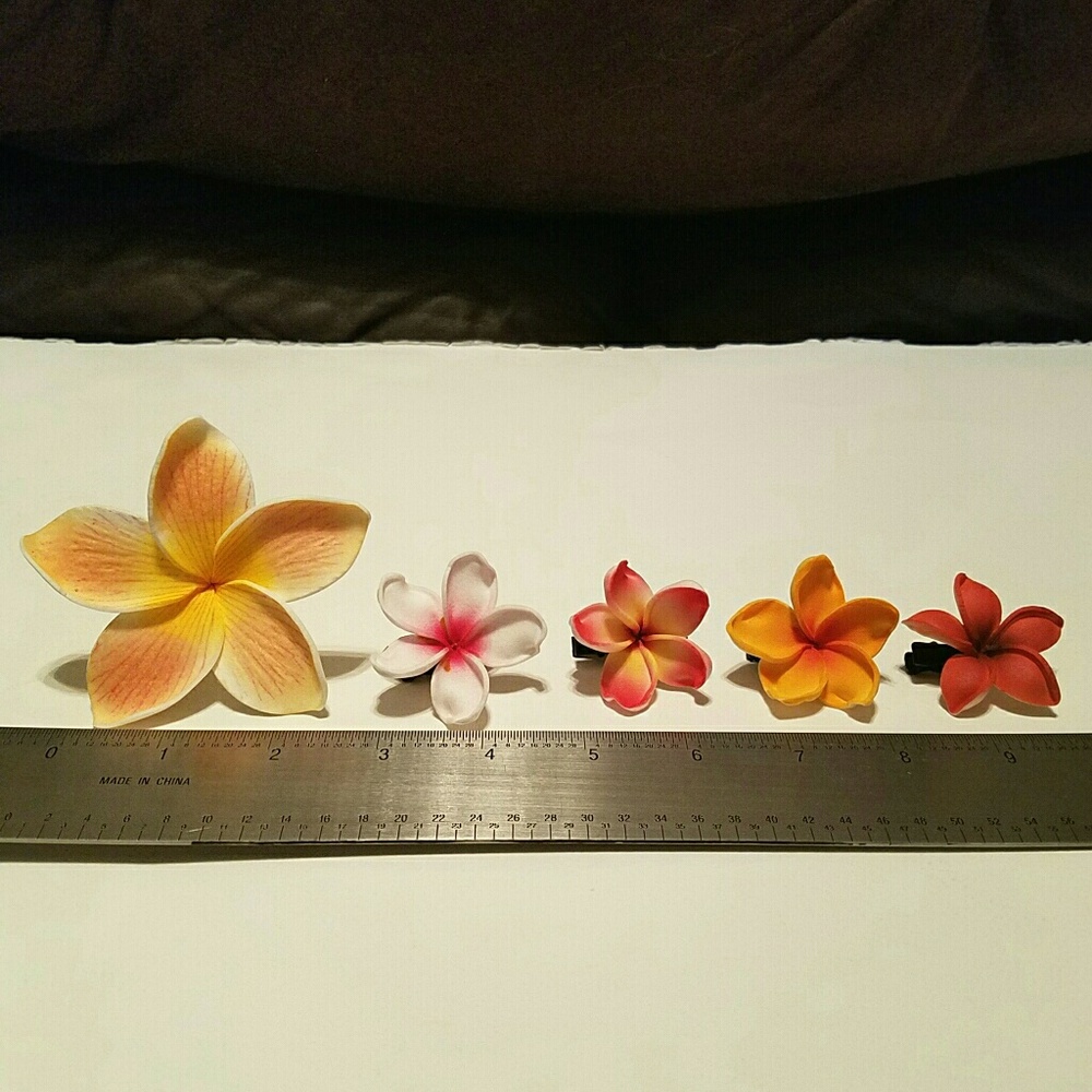 Photo reference Hawai'ian flower current stock