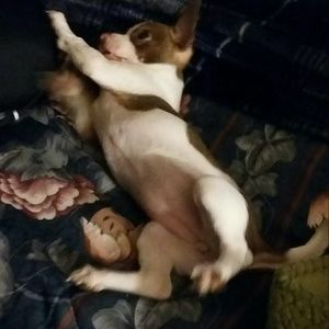 Meet your Posher, Joe