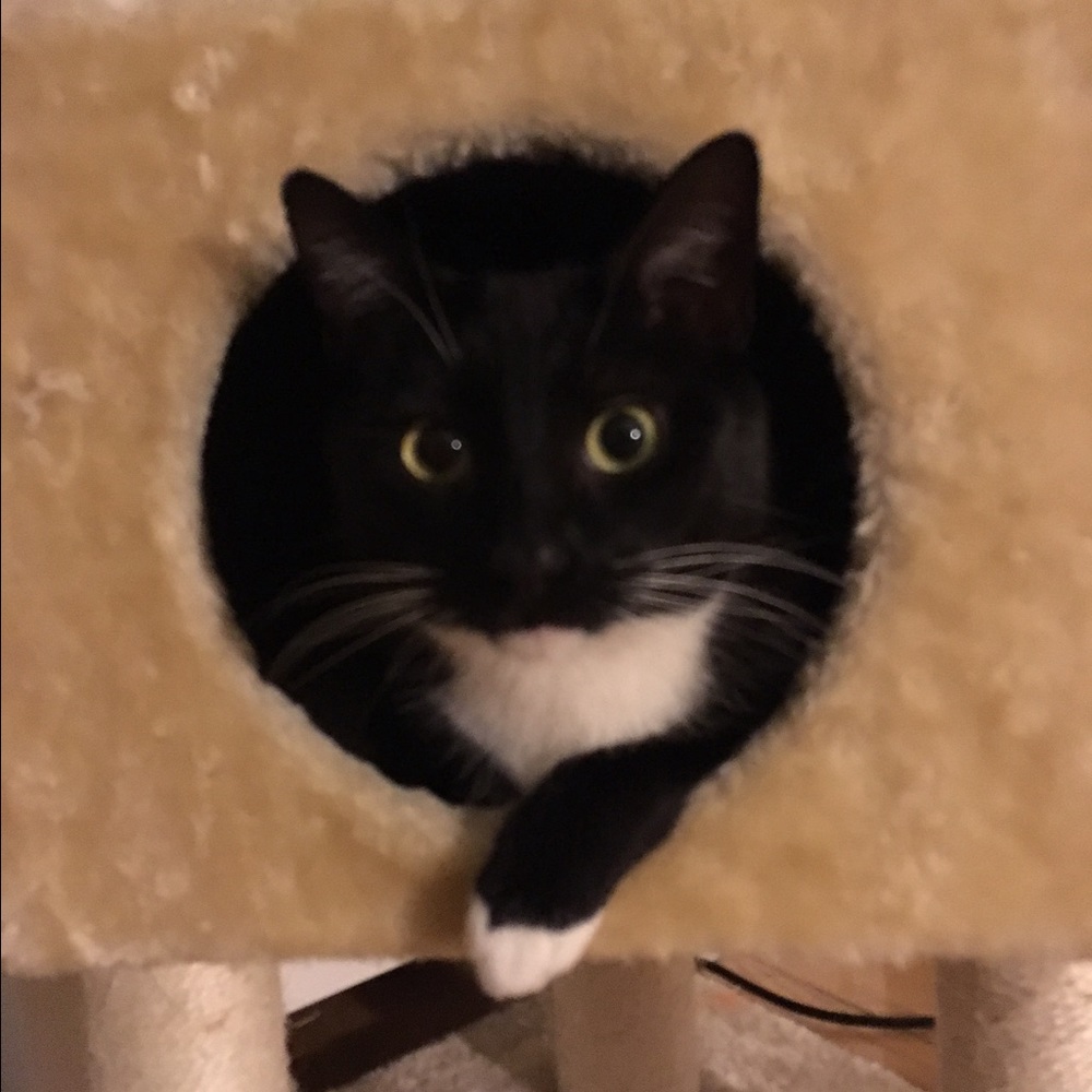 Meet your Posher, Linda