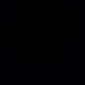 Meet your Posher, Luis