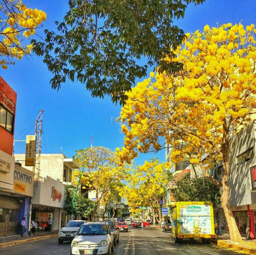 Meet your Posher, Gladis