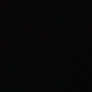 Meet your Posher, Bobbie