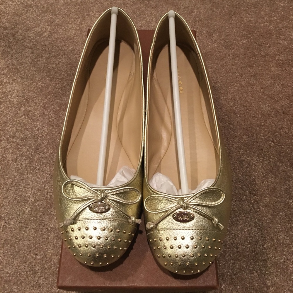 Coach Doreen Metallic Tumbled Flats