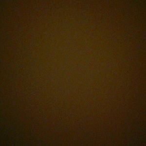 Meet your Posher, Armando