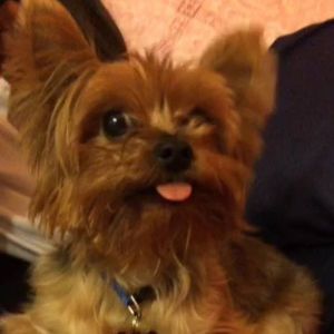 Meet your Posher, Laura