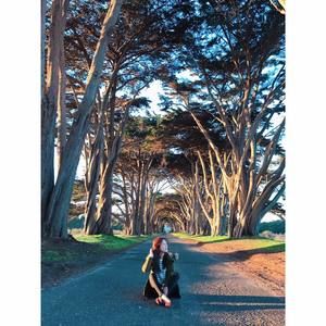 Meet your Posher, Ying