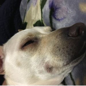 Meet your Posher, Gabriel