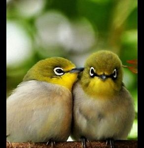 Meet your Posher, Andres