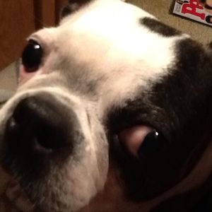 Meet your Posher, Sharon