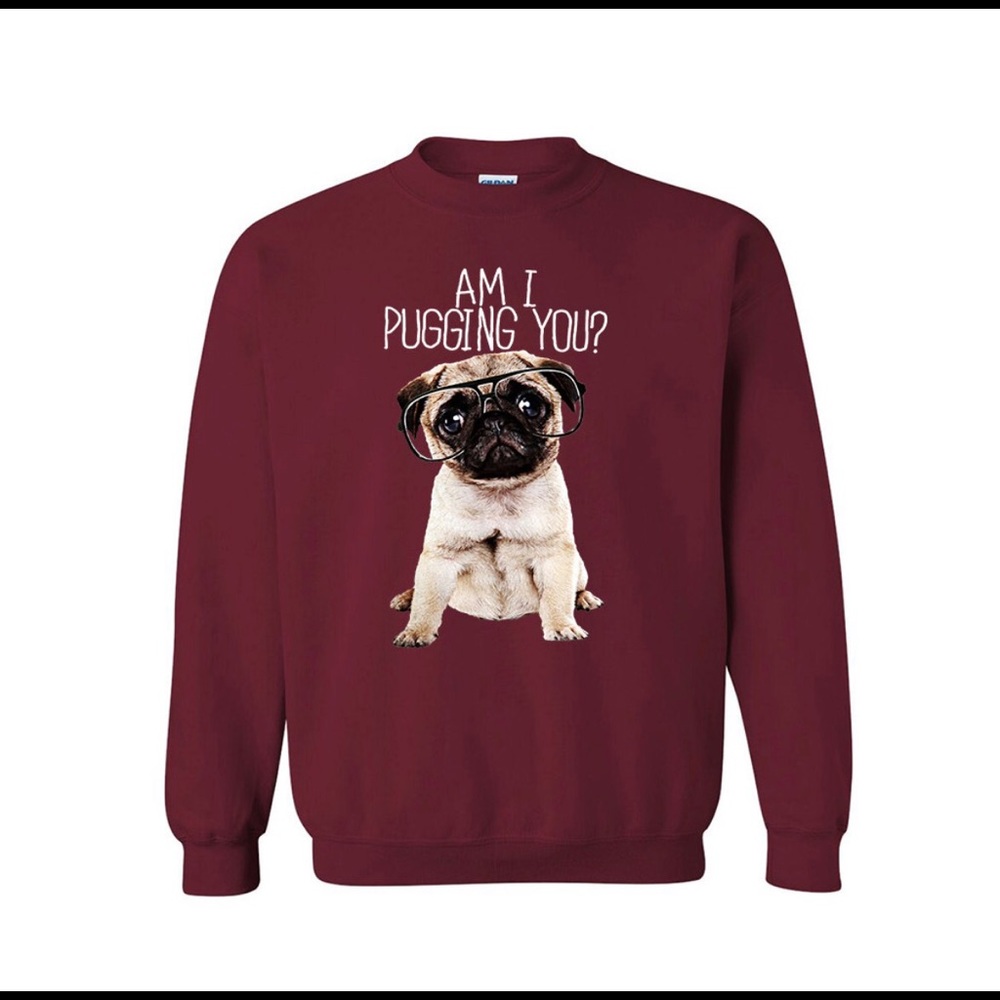Am I pugging you? Cute and Funny Unisex Sweater