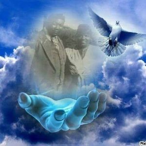 Meet your Posher, Jay