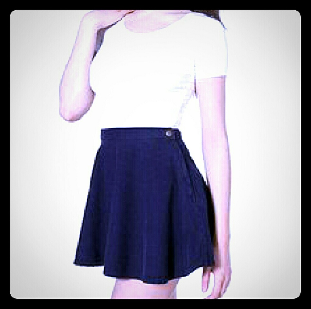 American Apparel navy circle skirt