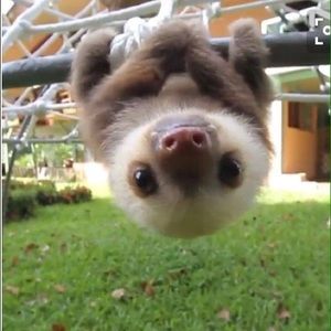 Meet your Posher, Andreana