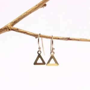 Cutout Within Earrings