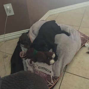 Meet your Posher, Danna