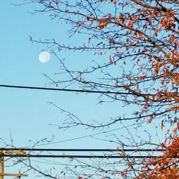 Meet your Posher, Joe - Picture 1 of 1