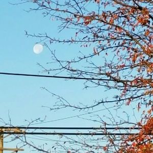 Meet your Posher, Joe