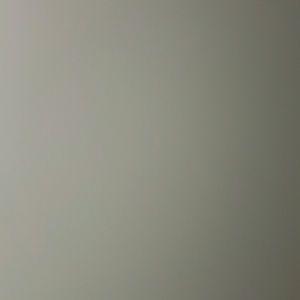 Meet your Posher, Dianne