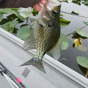 Meet your Posher, Bethany