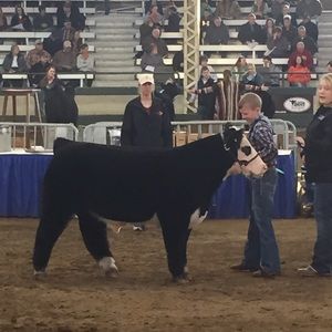 Meet your Posher, Angela