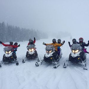 Meet your Posher, Susan