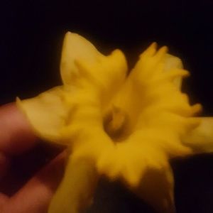 Meet your Posher, Julaine