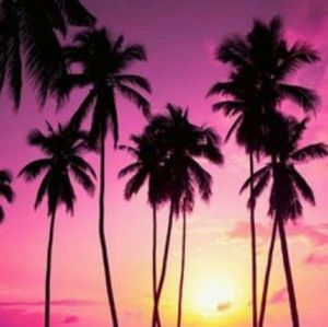 Meet your Posher, Molly