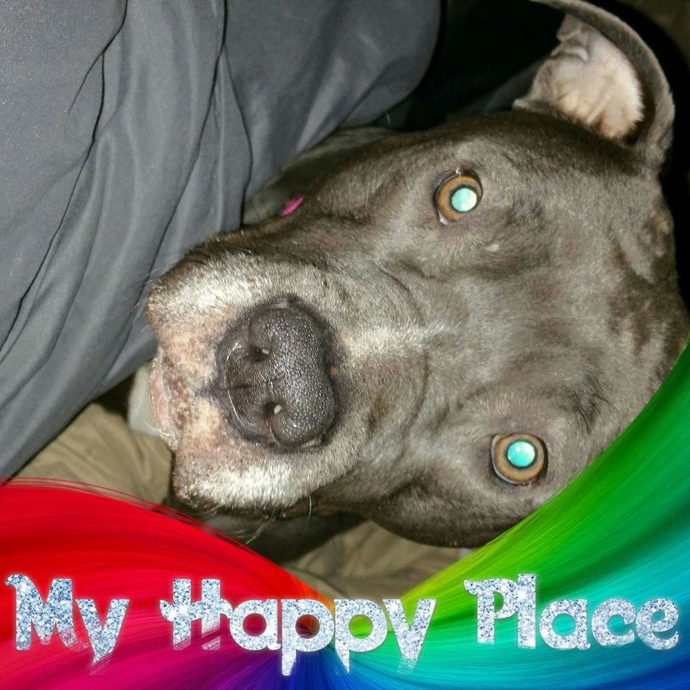 Meet your Posher, Carissa