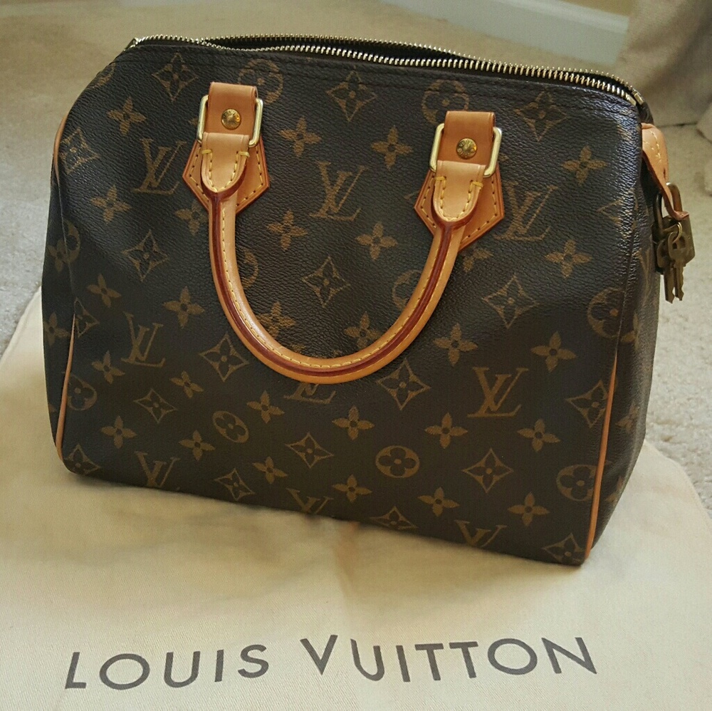 Louis Vuitton Speedy handbag